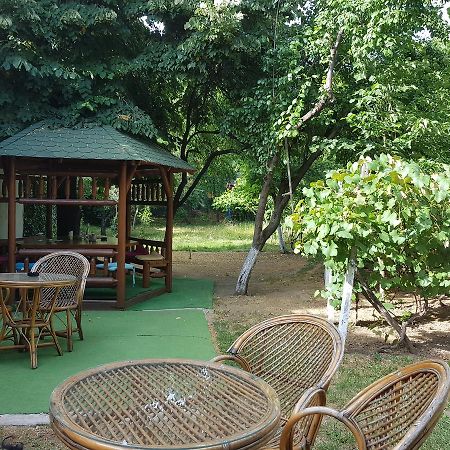 Casa Boiereasca Pansiyon Craiova Dış mekan fotoğraf