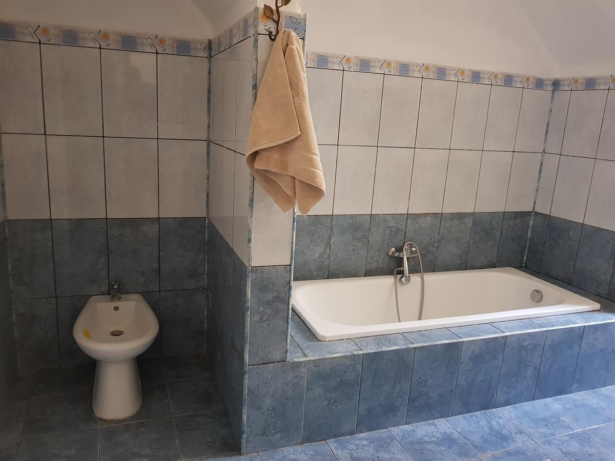 Casa Boiereasca Pansiyon Craiova Dış mekan fotoğraf