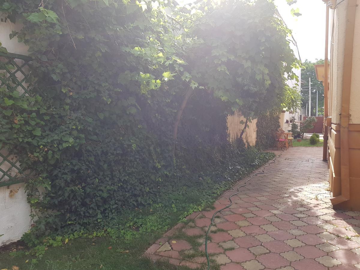 Casa Boiereasca Pansiyon Craiova Dış mekan fotoğraf